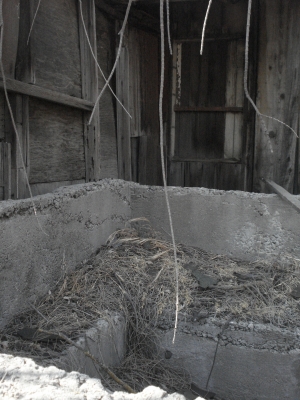 Could this have been an old mud bath? Could this have been an old mud bath?