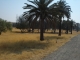 Road