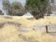 Looking for the Path