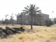 Sections of Palms