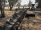 Conveyor Belt