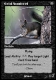 Grid Squirrel.jpg