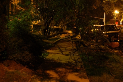 DISOBEEDEANT NAYCHUR!