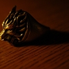 The Animus