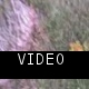 07-04-08_1948.avi