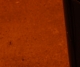 [Untitled]
