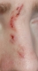 Day 2