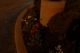 Day4Shot58.JPG