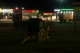 Day4Shot62.JPG