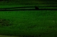 Day4Shot81.JPG