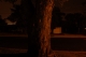Day5Shot16.JPG