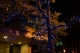 Day7Shot15.JPG