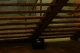 Day7Shot35.JPG