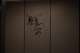 Day7Shot41.JPG