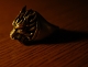 The One Ring