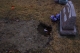 TheObject_10.jpg