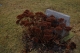 TheObject_11.jpg