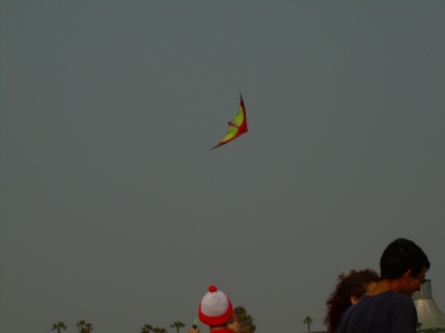 Training Kite