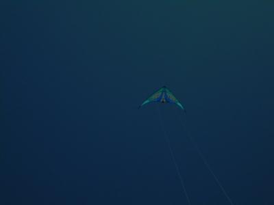 Soaring Majestically Soaring Majestically