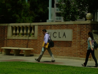 like pigs from a gun