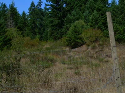 ...but here is where it's pointing.