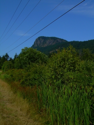 Mt. Maxwell