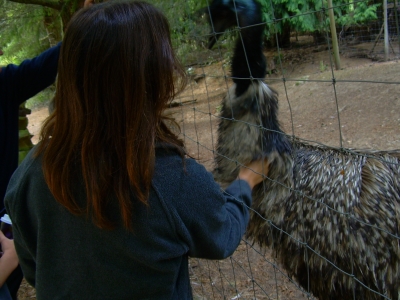 The Emu
