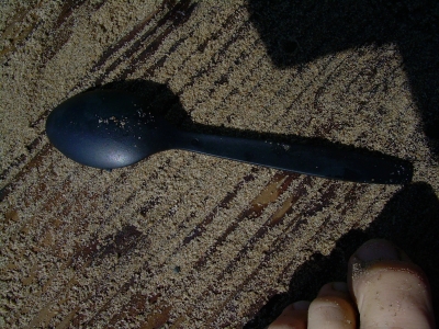 The Spoon