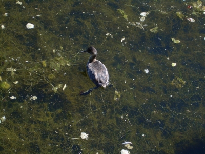 Or perhaps this way?