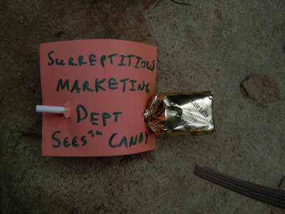 Slick and Professional