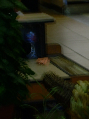 Counter Counter