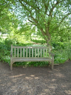 Will and Lyra's Bench