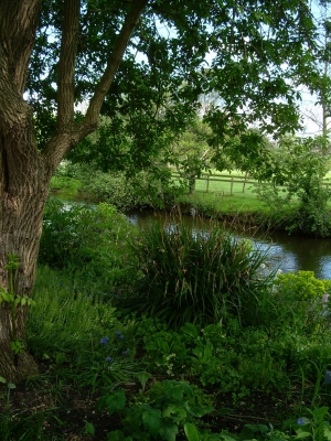 and the Autumn Walk... 