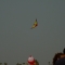 Training Kite