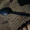 The Spoon