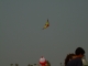 Training Kite