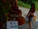 Serenaded