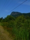 Mt. Maxwell