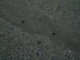 First drops at 15 Km