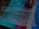First Capture