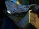 Foil