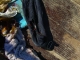 The Second Shoe