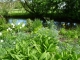 I had to meander through the Summer Walk...