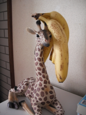 DSCF0122.JPG