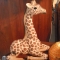 DSCF0125.JPG