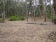 Picture 013.jpg