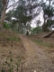 Picture 014.jpg
