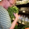 Cilantro and Secret Cello