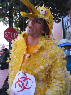 Avian Flu outbreak on Sesame Street