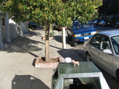 SF0 079.jpg